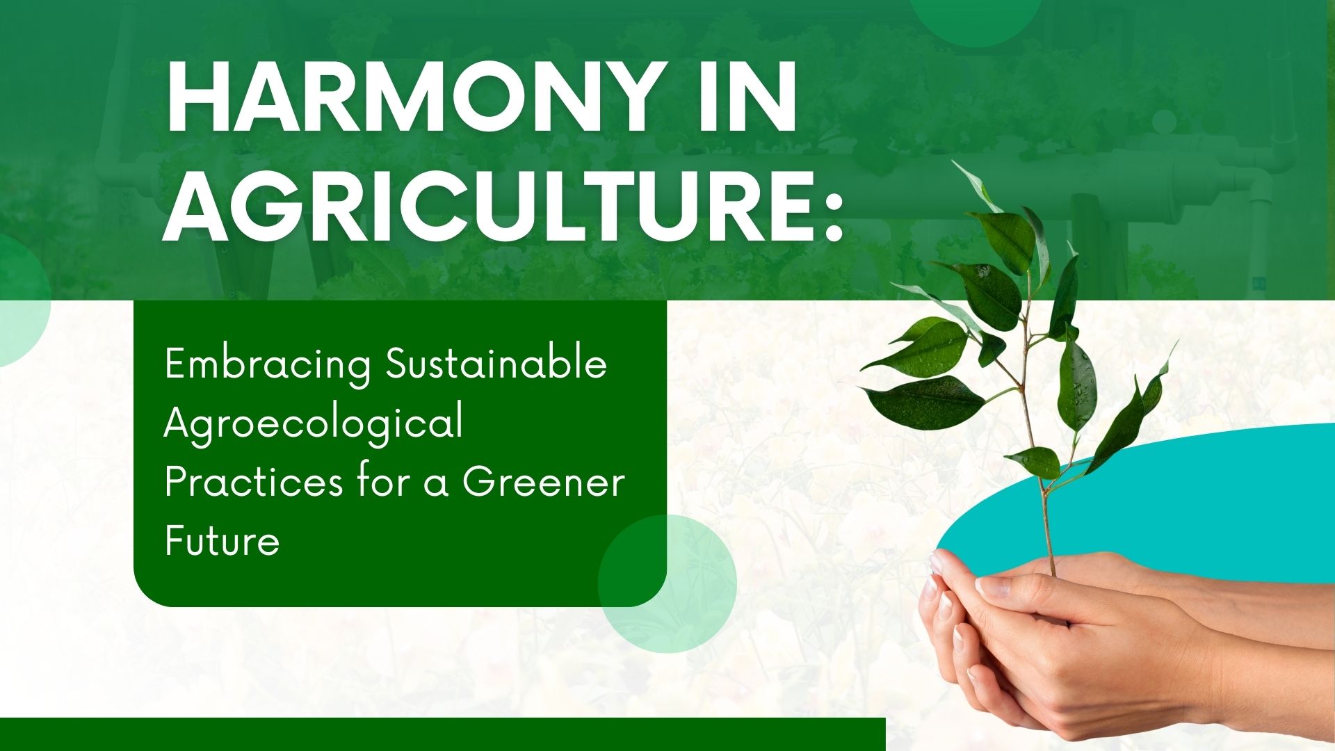 Harmony in Agriculture: Embracing Sustainable Agroecological Practices for a Greener Future