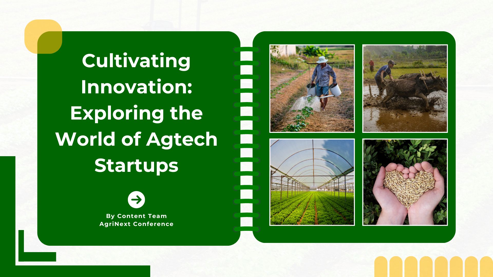 Cultivating Innovation: Exploring the World of Agtech Startups