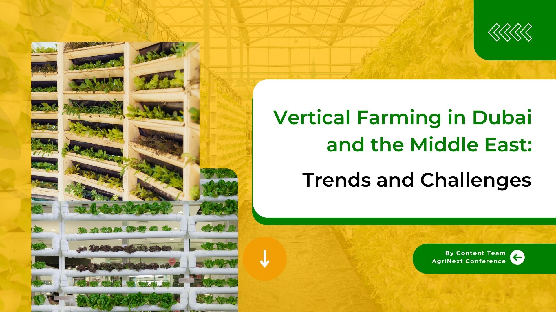 Vertical Farming in Dubai and the Middle East: Trends and Challenges