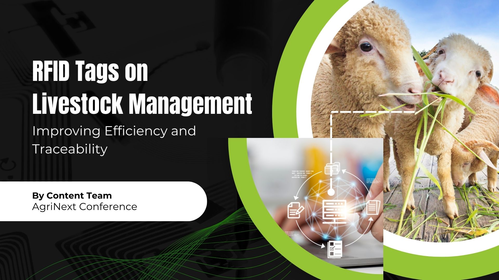 RFID Tags on Livestock Management: Improving Efficiency and Traceability