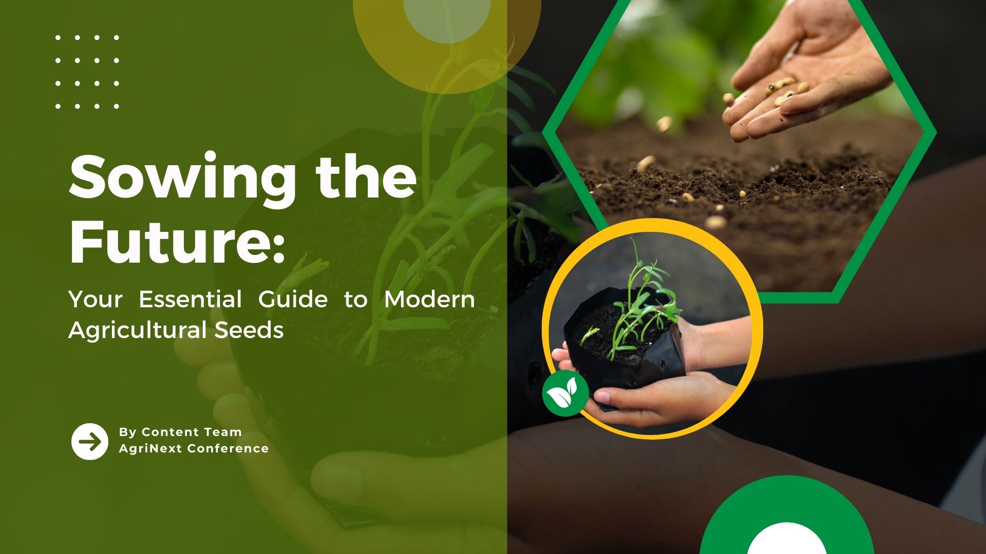 Sowing the Future: Your Essential Guide to Modern Agricultural Seeds