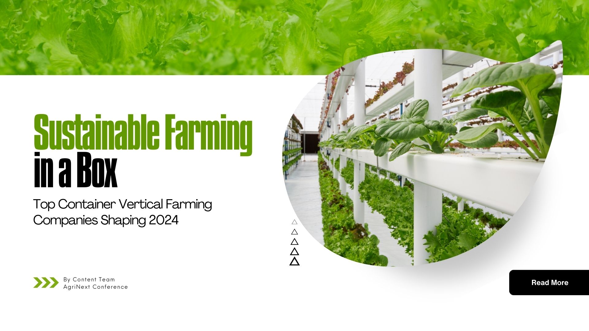 Sustainable Farming in a Box: Top Container Vertical Farming Companies Shaping 2024