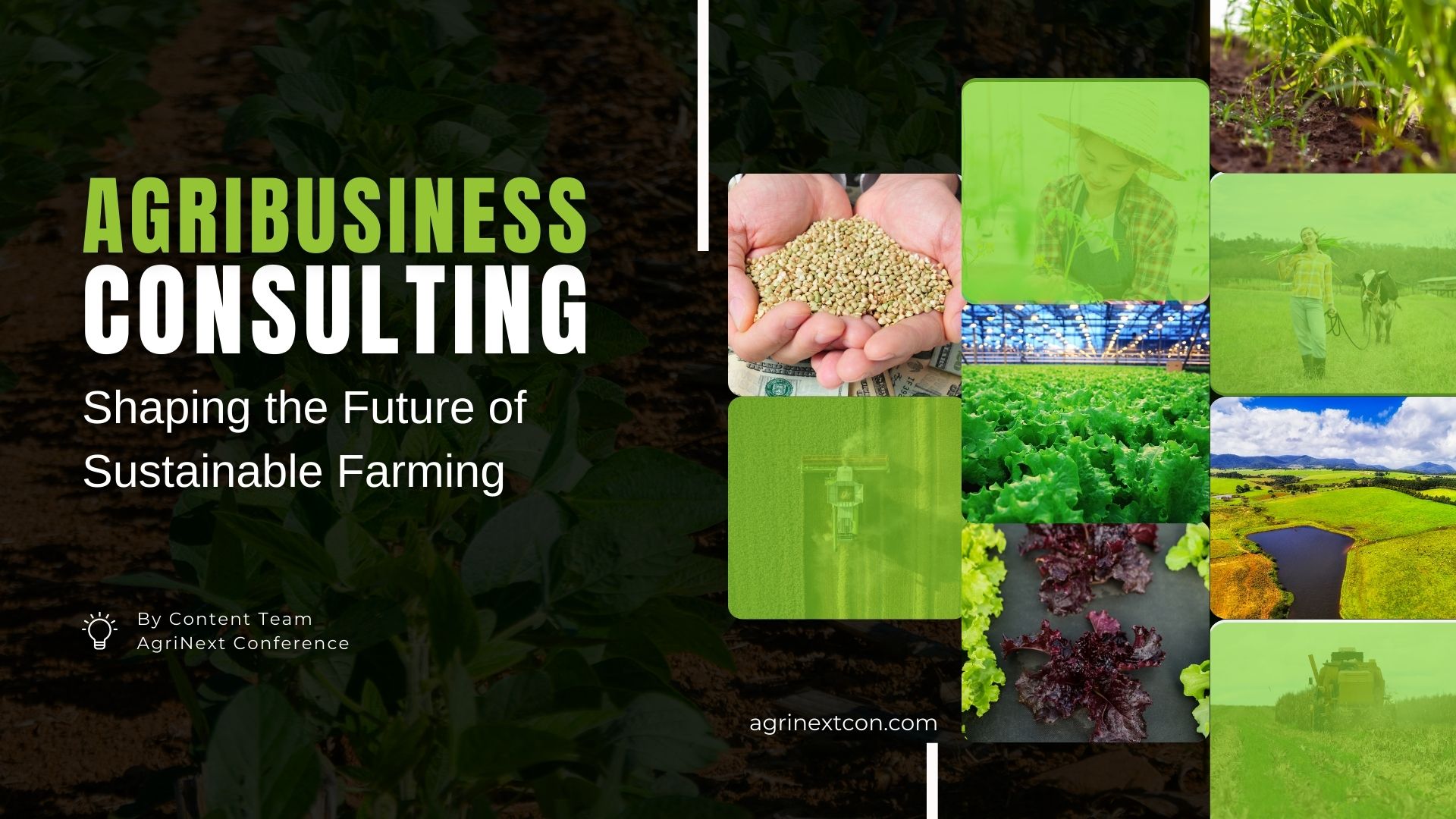 Agribusiness Consulting: Shaping the Future of Sustainable Farming