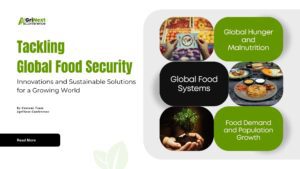 Tackling Global Food Security: Innovations and Sustainable Solutions for a Growing World