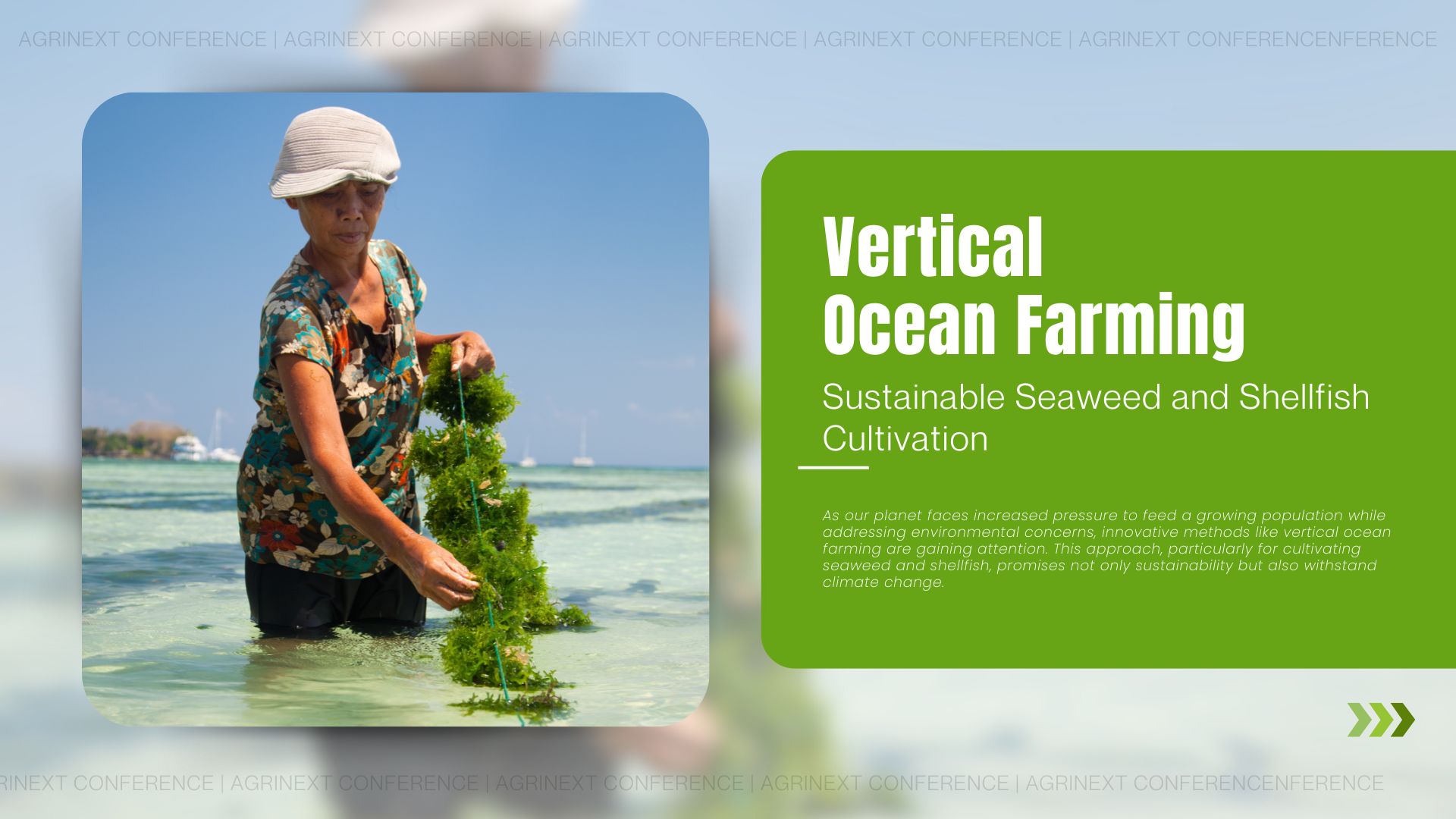 Vertical Ocean Farming: Sustainable Seaweed and Shellfish Cultivation