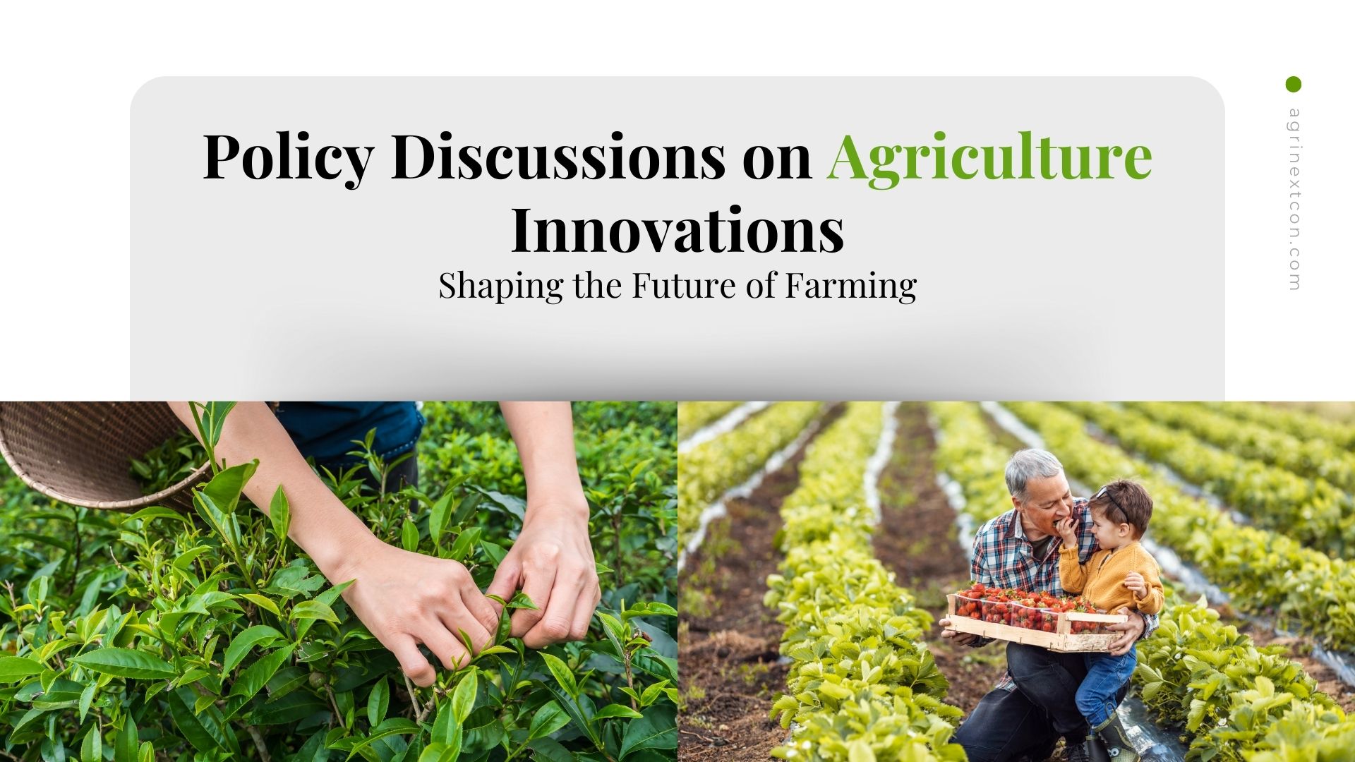 Policy Discussions on Agriculture Innovations: Shaping the Future of Farming