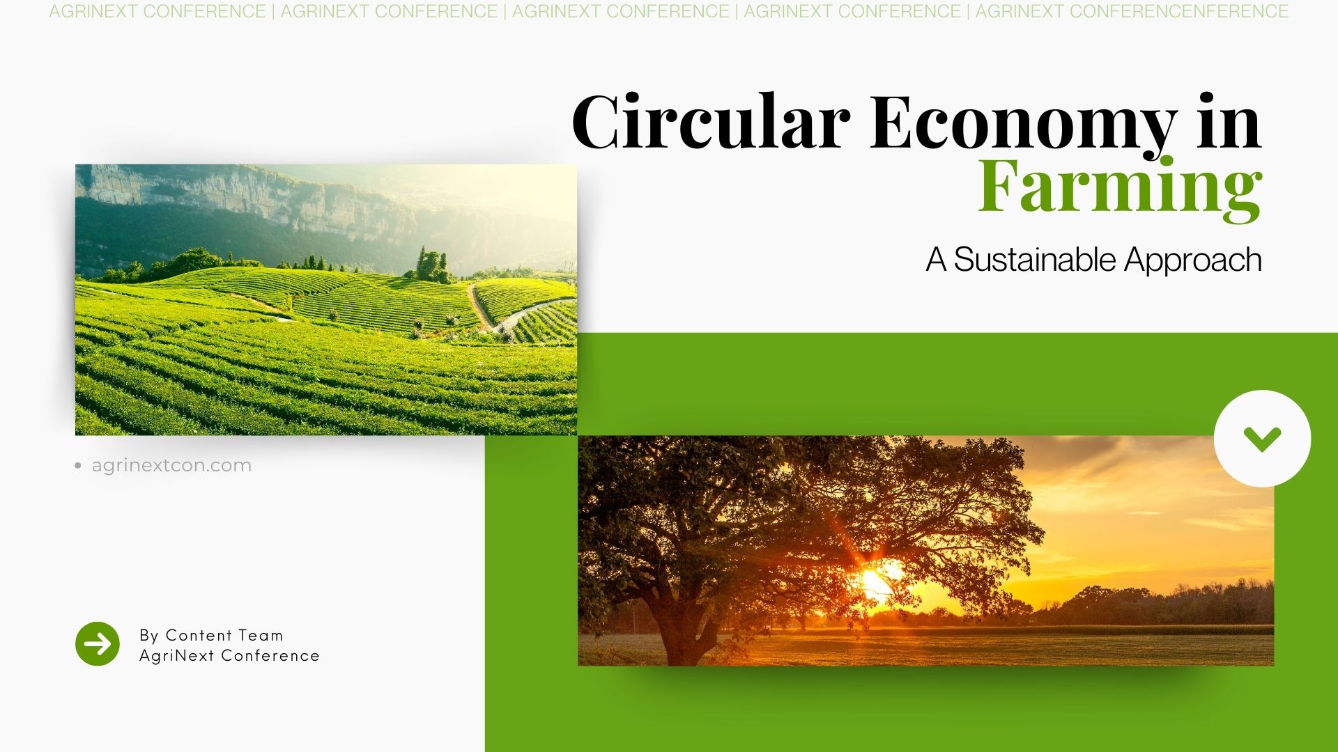 Circular Economy in Farming: A Sustainable Approach