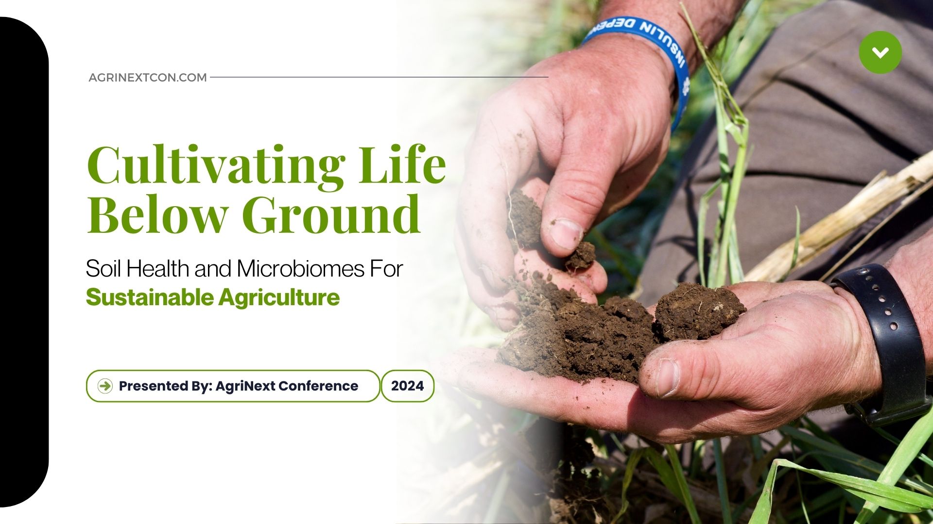 Cultivating Life Below Ground:Soil Health and Microbiomes For Sustainable Agriculture