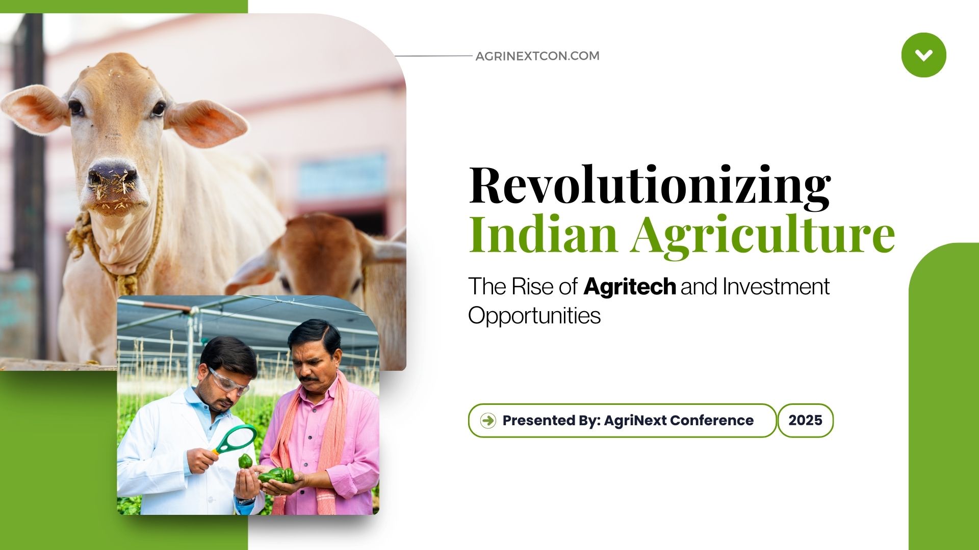 Revolutionizing Indian Agriculture: The Rise of Agritech and Investment Opportunities